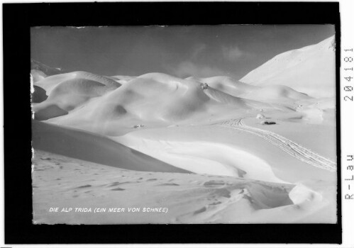 Die Alp Trida (ein Meer von Schnee)