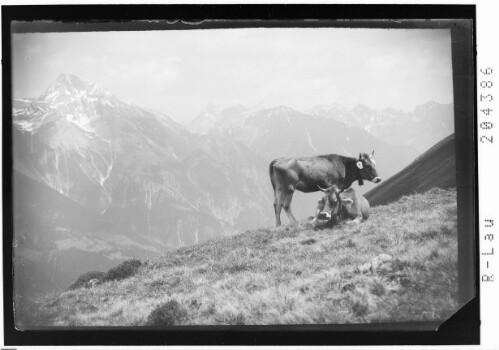 [Auf der Alpe]