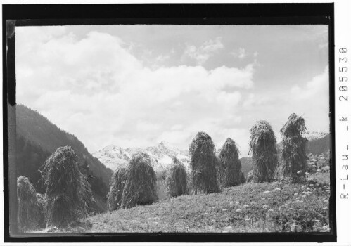 [Im Silbertal / Blick zur Silbertaler Loobspitze]