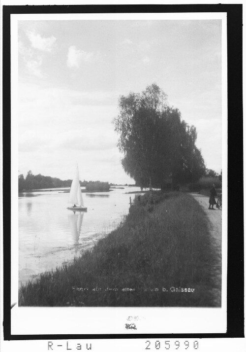 Fahrt auf dem Alten Rhein bei Gaissau : [Segelboot auf dem Alten Rhein]