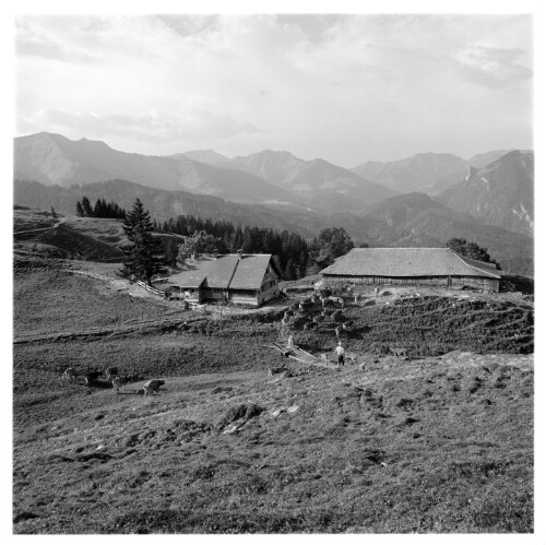 Alpe Gschwend, Dornbirn