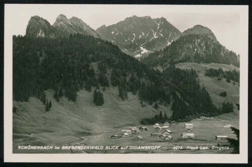 [Bezau] Schönenbach im Bregenzerwald Blick auf Didamskopf