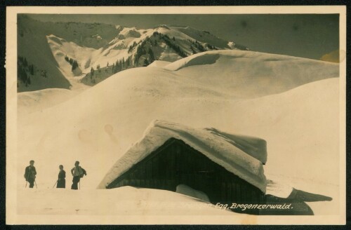 Alpe Brongen, Egg, Bregenzerwald