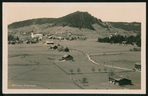 Hittisau, Breg. Wald