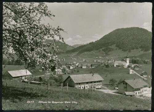 Hittisau im Bregenzer Wald, Vlbg.