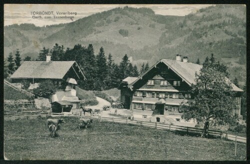 [Hittisau] Torbündt, Vorarlberg : Gasth. zum Tannenbaum