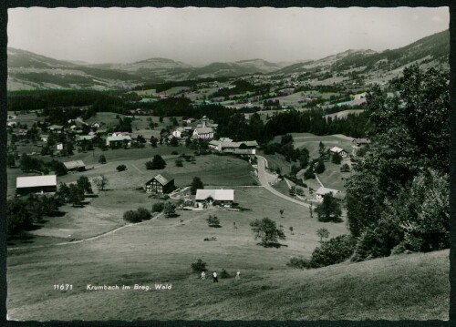 Krumbach im Breg. Wald